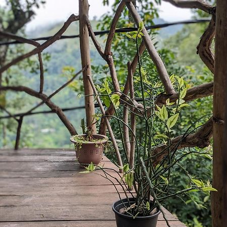 Ella Nature Nest Екстериор снимка