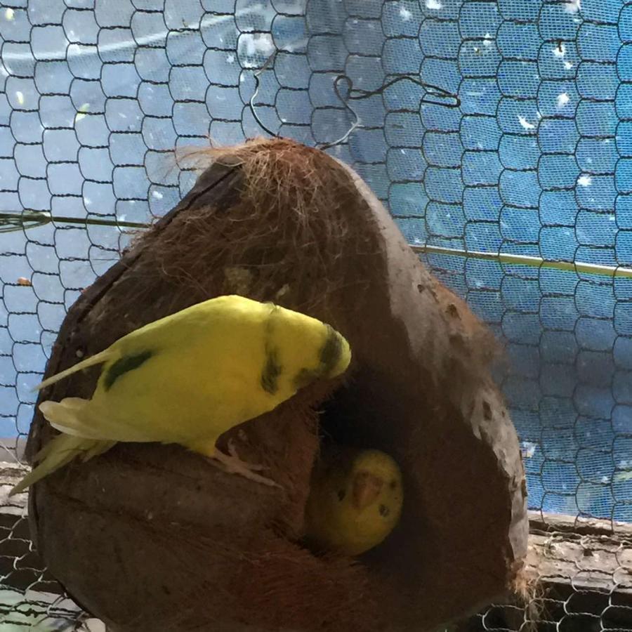 Ella Nature Nest Екстериор снимка