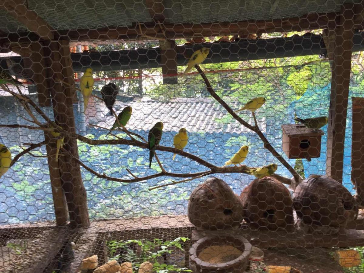 Ella Nature Nest Екстериор снимка